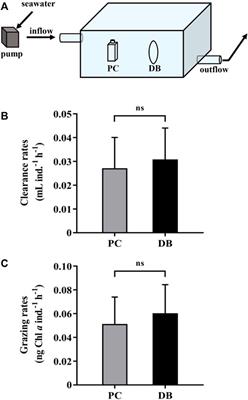 Corrigendum: Applying Dialysis Bags to Grow Microalgae and Measure Grazing Rates by Secondary Producers